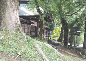 AppleMark
