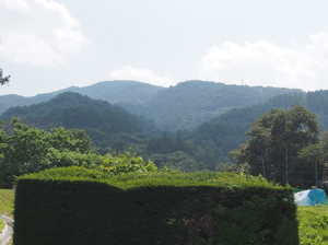 AppleMark